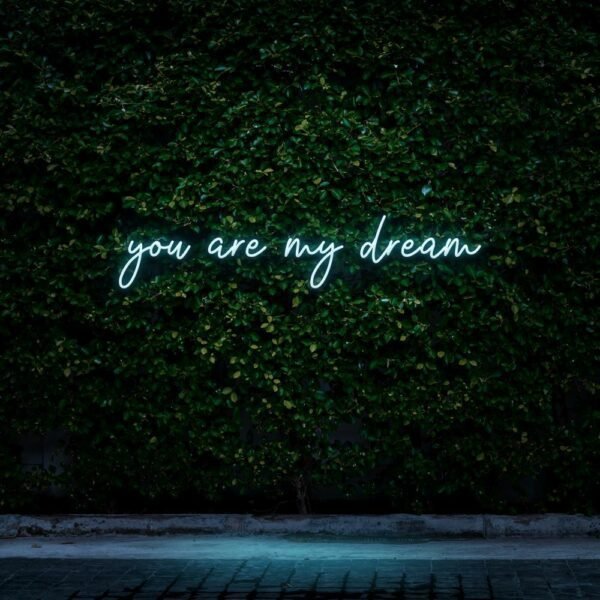 you are my dream neon sign