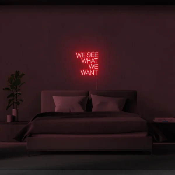 we see what we want neon sign